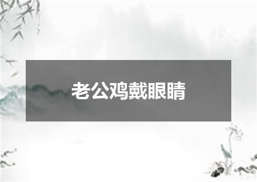 老公鸡戴眼睛