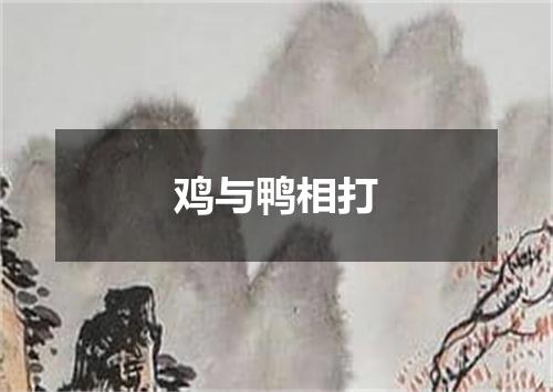 鸡与鸭相打