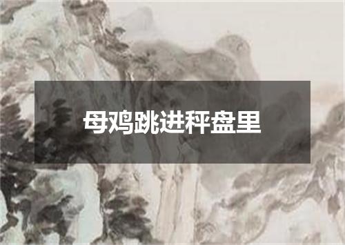 母鸡跳进秤盘里