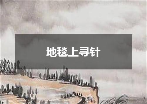 地毯上寻针