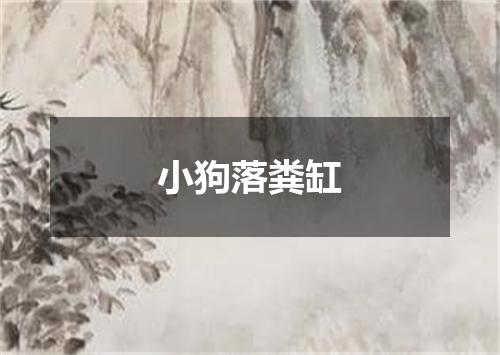 小狗落粪缸