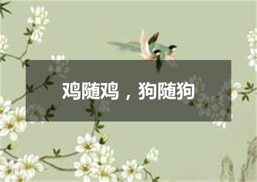 鸡随鸡，狗随狗