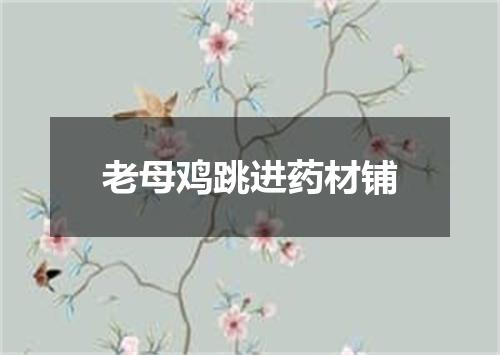 老母鸡跳进药材铺