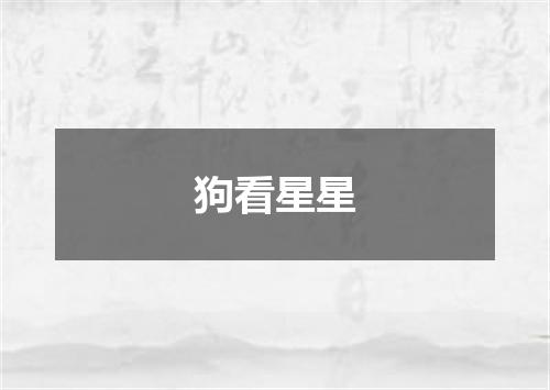 狗看星星