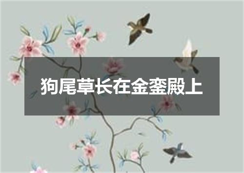 狗尾草长在金銮殿上