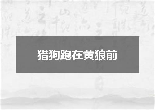 猎狗跑在黄狼前