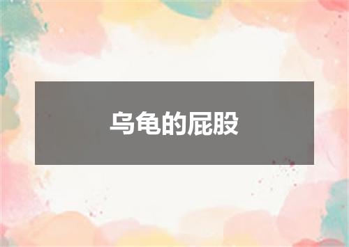 乌龟的屁股