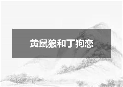 黄鼠狼和丁狗恋