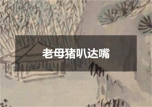 老母猪叭达嘴