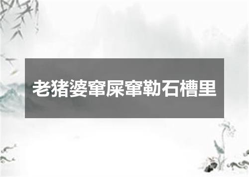 老猪婆窜屎窜勒石槽里