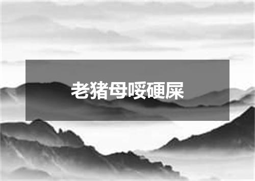 老猪母哸硬屎