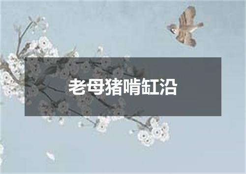 老母猪啃缸沿