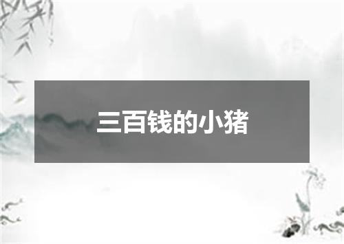 三百钱的小猪