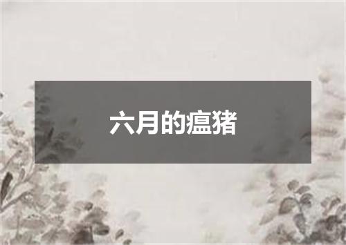 六月的瘟猪