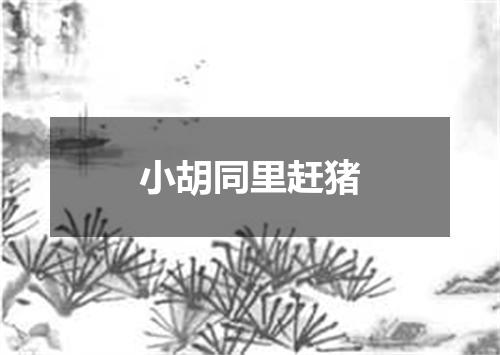 小胡同里赶猪