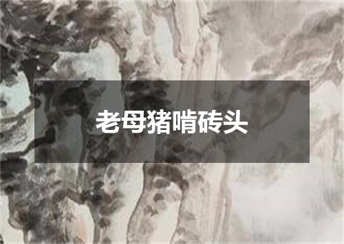 老母猪啃砖头