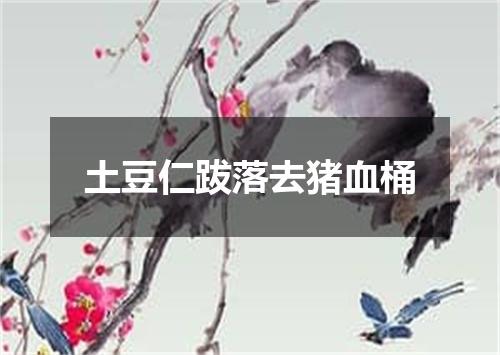 土豆仁跋落去猪血桶