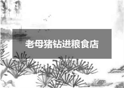 老母猪钻进粮食店