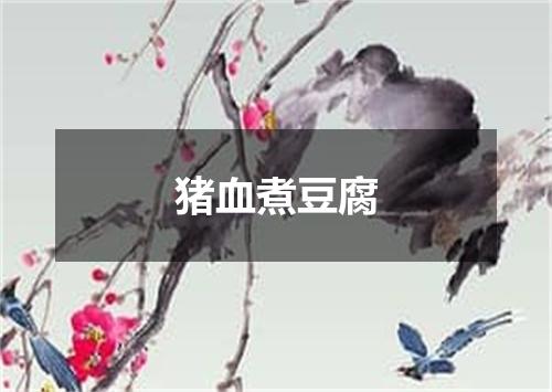 猪血煮豆腐