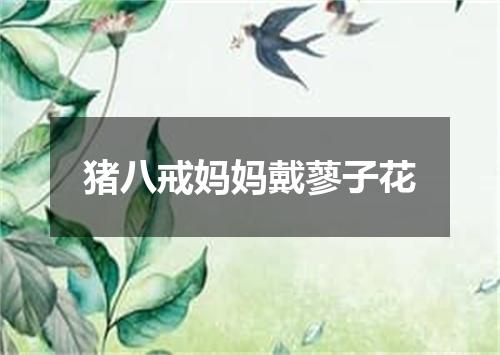 猪八戒妈妈戴蓼子花