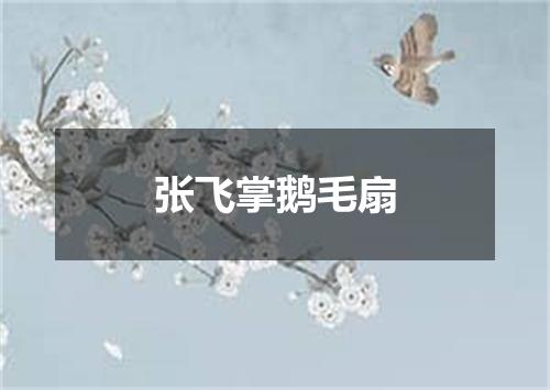 张飞掌鹅毛扇