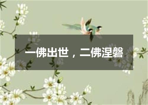 一佛出世，二佛涅磐