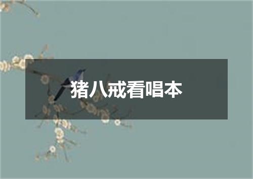 猪八戒看唱本