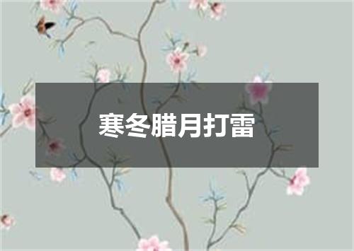 寒冬腊月打雷