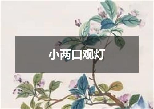 小两口观灯