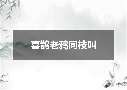 喜鹊老鸦同枝叫