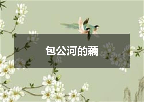 包公河的藕