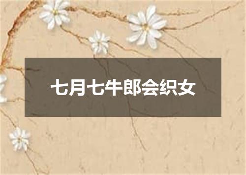 七月七牛郎会织女