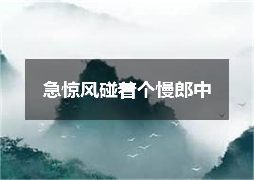急惊风碰着个慢郎中