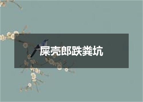 屎壳郎跌粪坑
