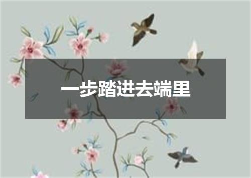 一步踏进去端里