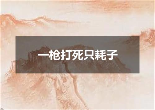 一枪打死只耗子