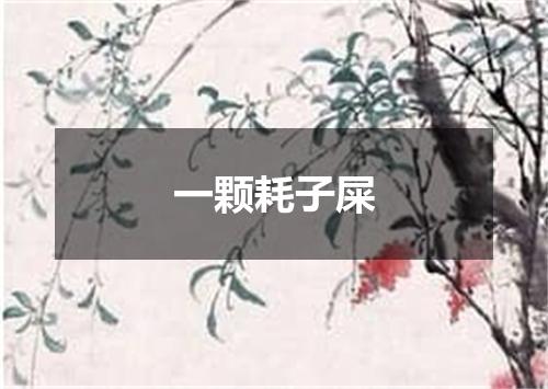 一颗耗子屎