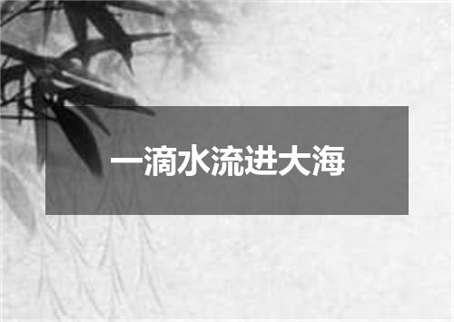一滴水流进大海